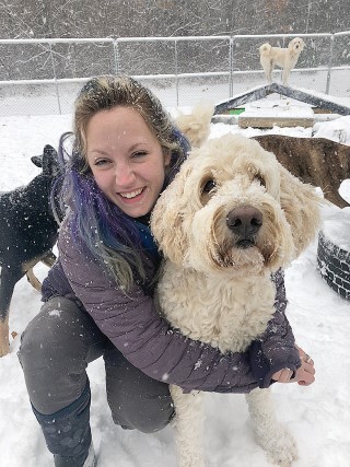 Hello doggie deals daycare